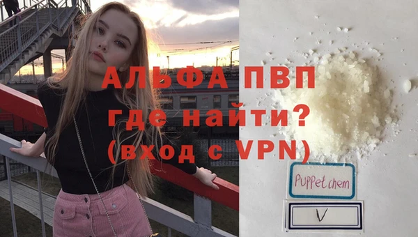 стаф Арсеньев