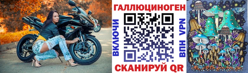 Псилоцибиновые грибы Psilocybe Череповец